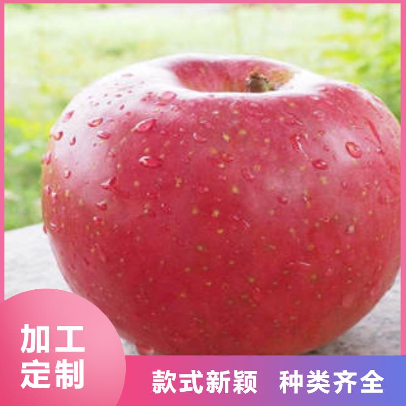 红富士苹果精心选材