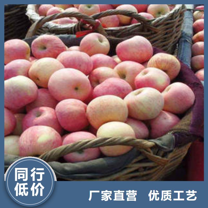 红富士苹果苹果匠心打造