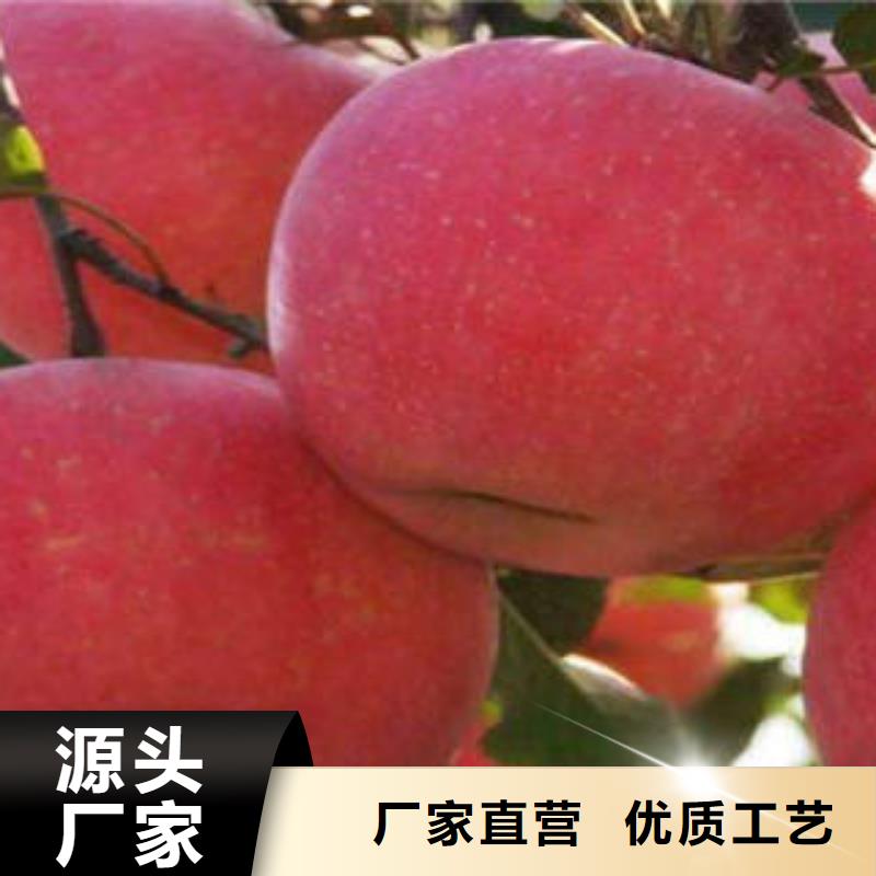 红富士苹果实体诚信经营