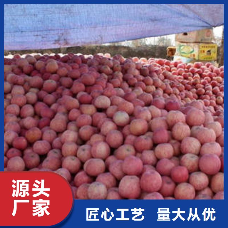 红富士苹果苹果匠心打造