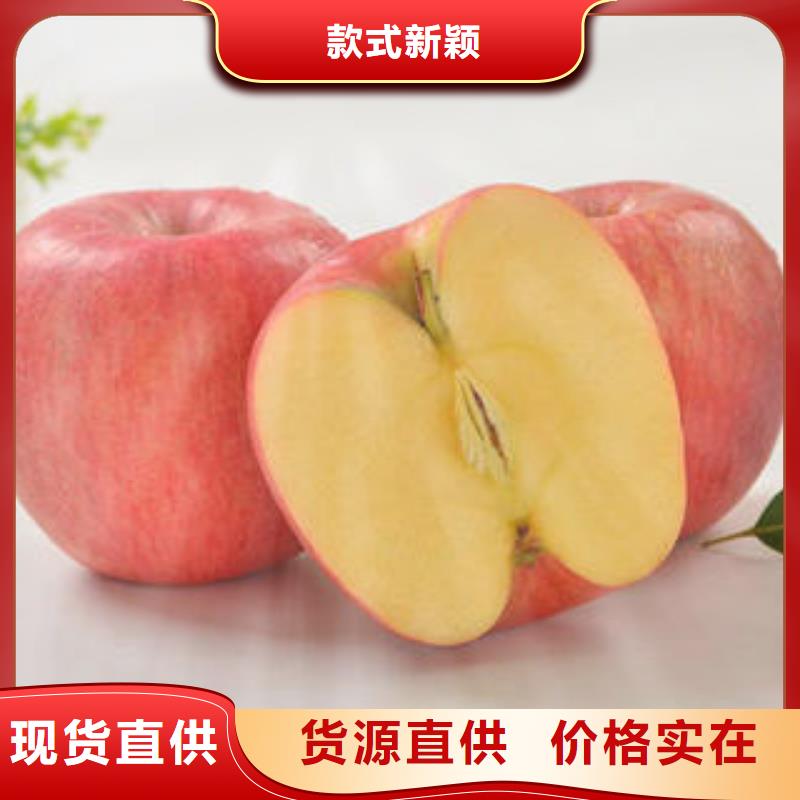 红富士苹果实体诚信经营