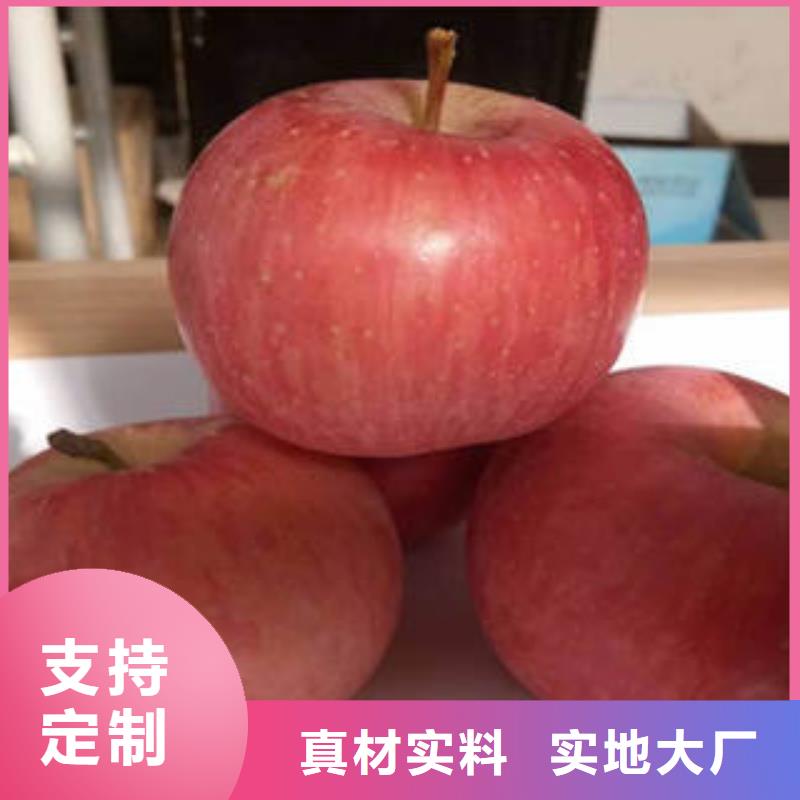 红富士苹果标准工艺