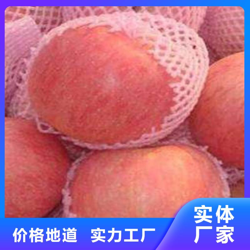 红富士苹果嘎啦苹果支持定制批发