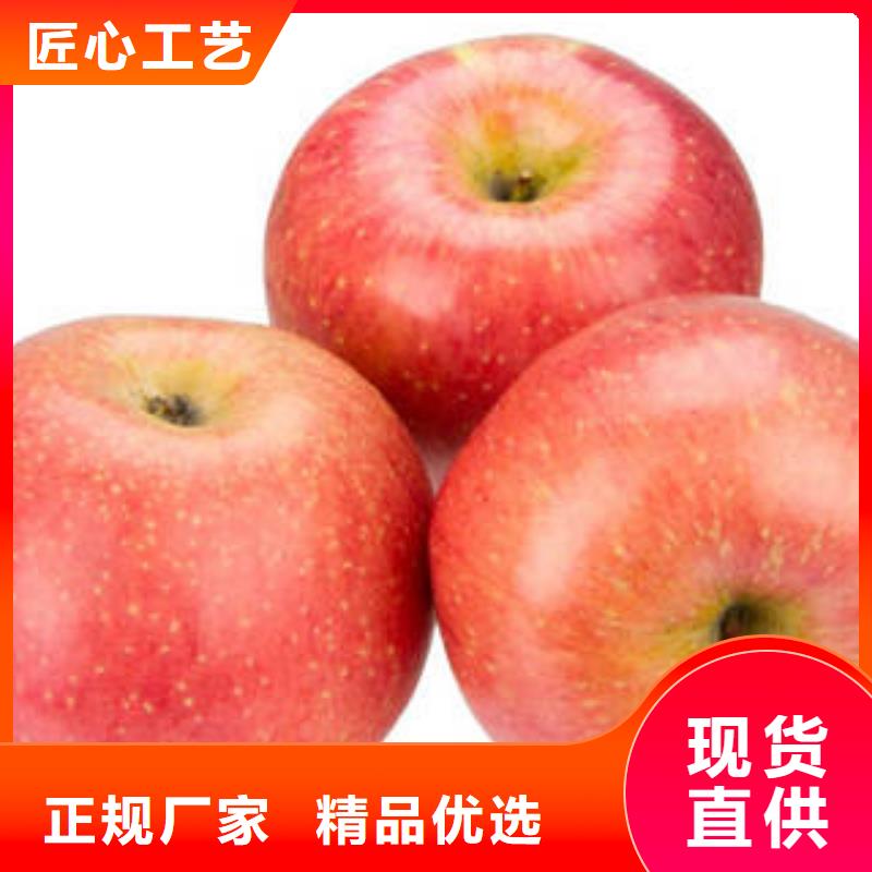 红富士苹果嘎啦苹果支持定制批发