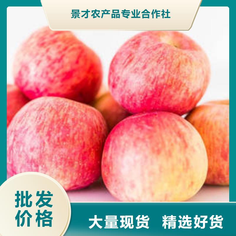 红富士苹果苹果种植基地用心制造