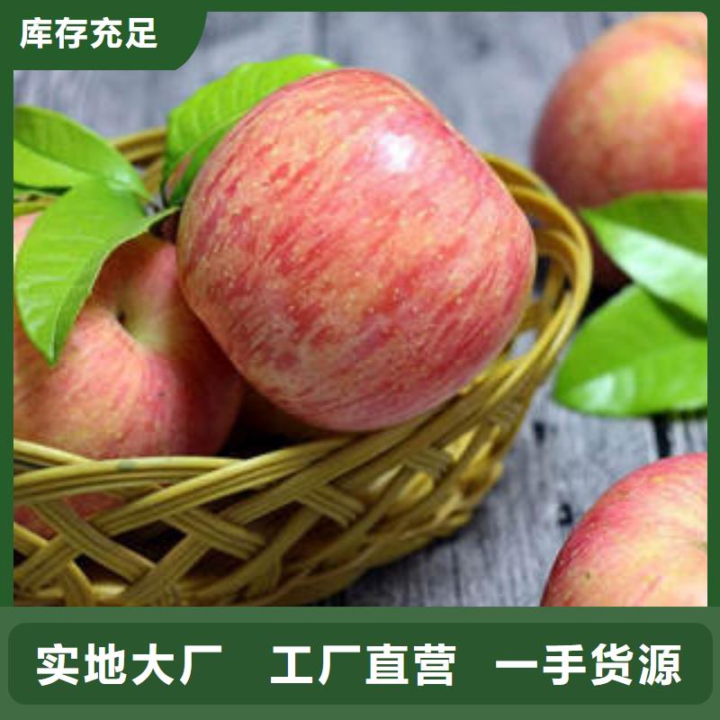 红富士苹果嘎啦苹果支持定制批发