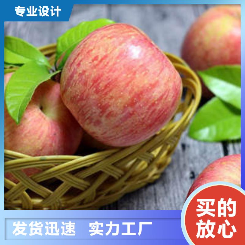 红富士苹果苹果种植基地用心制造