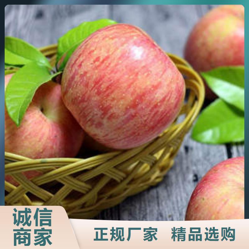 红富士苹果-嘎啦苹果可定制