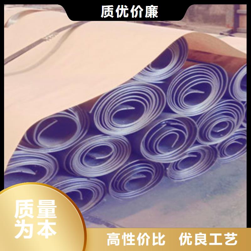 射线防护铅门现货充足