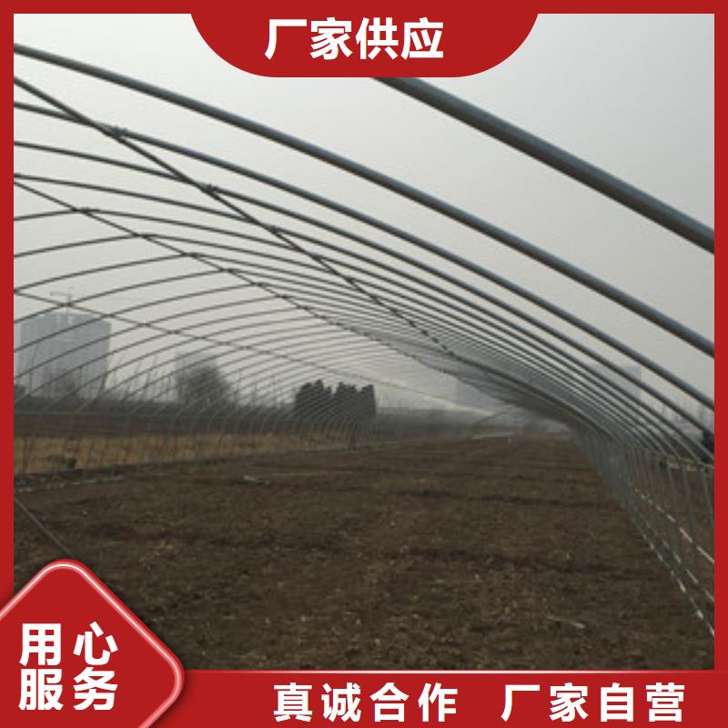 大棚管工字钢实体诚信经营