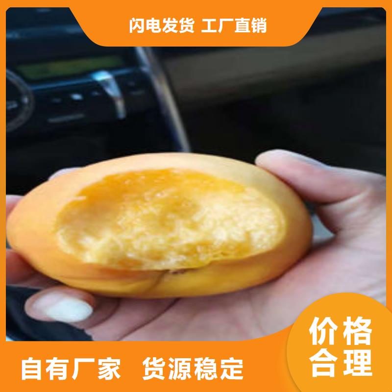 桃树苗蓝莓苗匠心打造