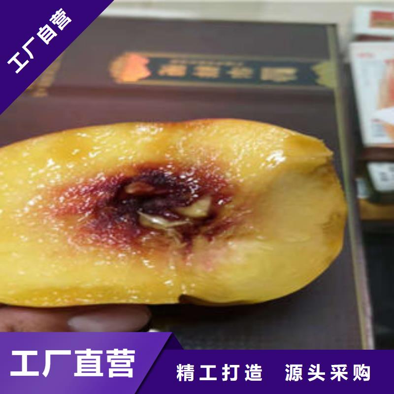 桃树苗板栗苗产品细节