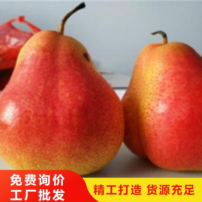 梨树苗_【花椒苗】大厂生产品质
