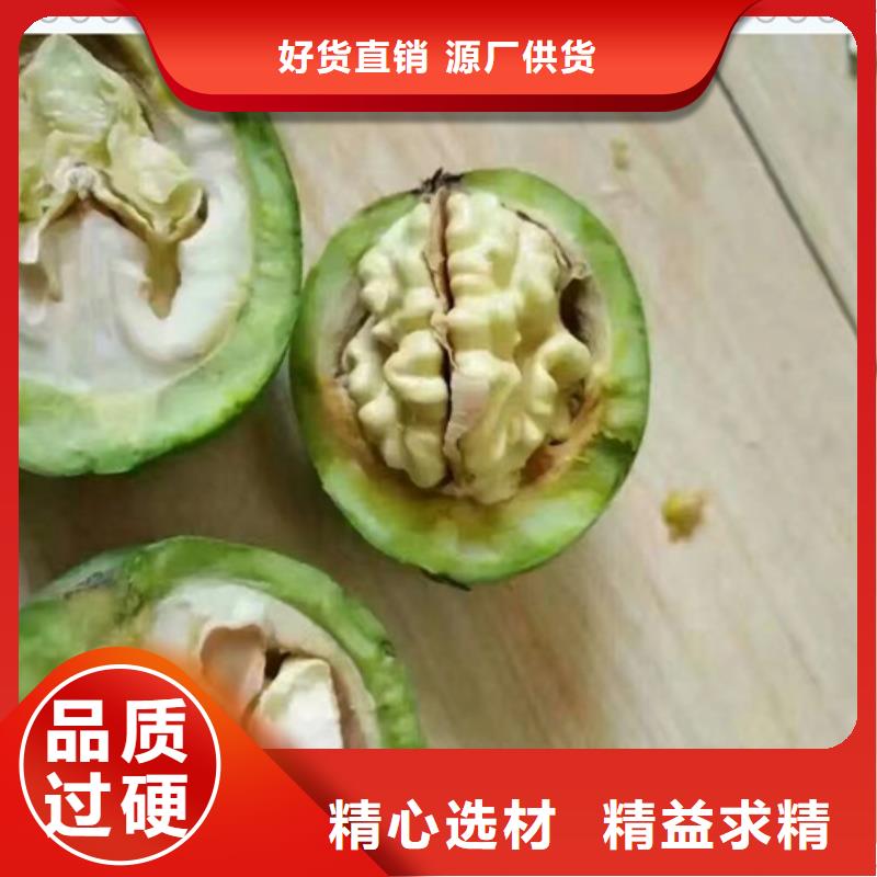核桃苗花椒苗源头厂家来图定制