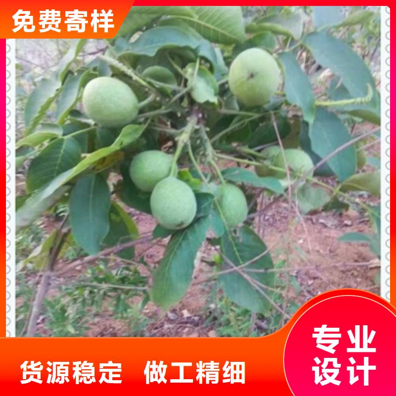 核桃苗_花椒苗源头把关放心选购