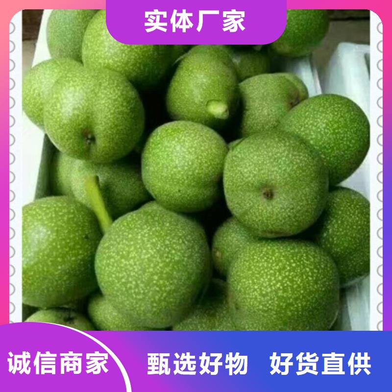 核桃苗花椒苗源头厂家来图定制