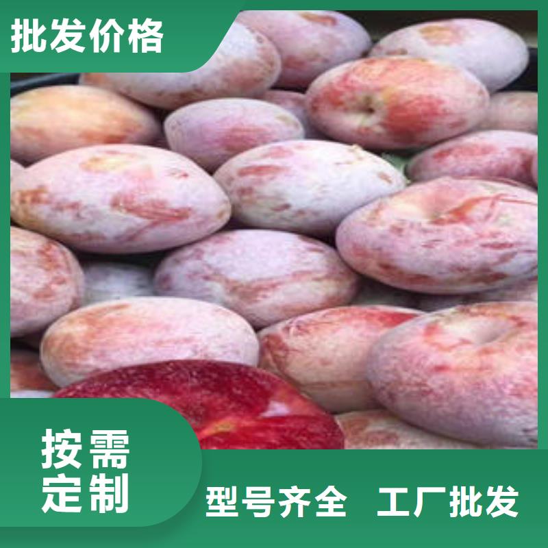 李子苗葡萄苗销售的是诚信