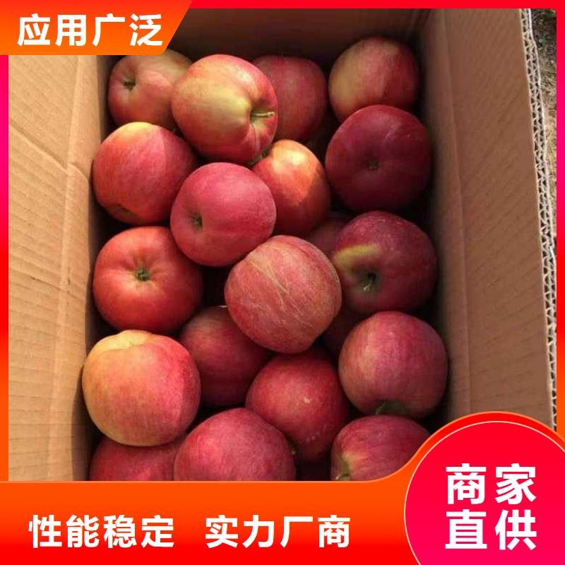 苹果苗蓝莓苗国标检测放心购买
