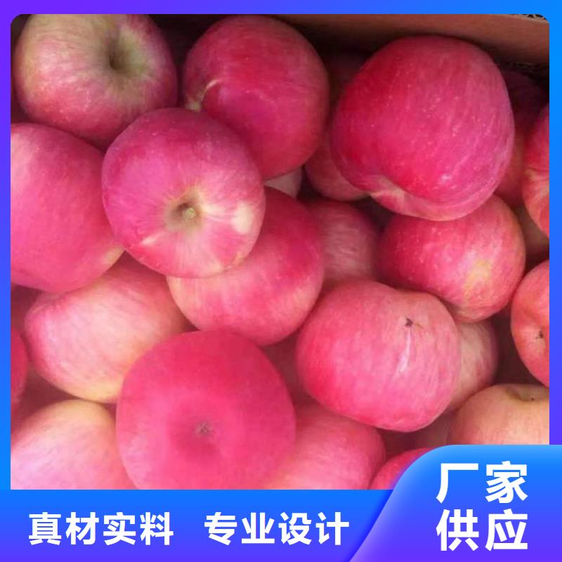 苹果苗花椒苗实力工厂