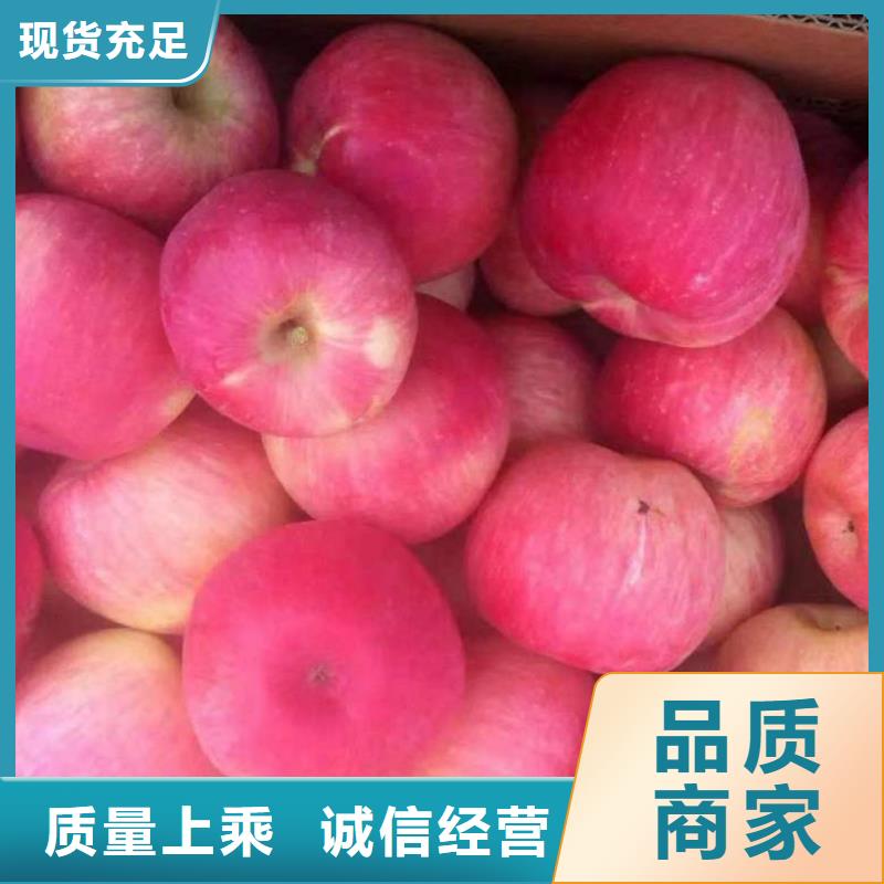 【苹果苗-蓝莓苗工厂自营】