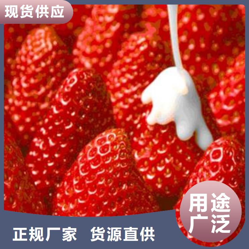 草莓苗,梨树苗优质原料