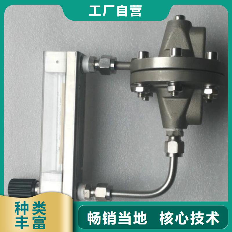 【吹扫装置】金属管浮子流量计量大从优
