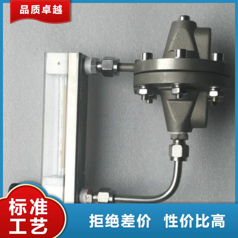 【吹扫装置】微小流量计优选厂商