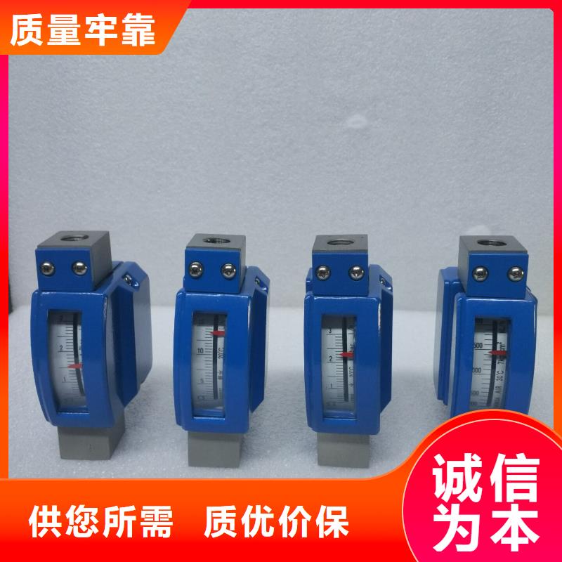 微小流量计-吹扫装置厂家技术完善