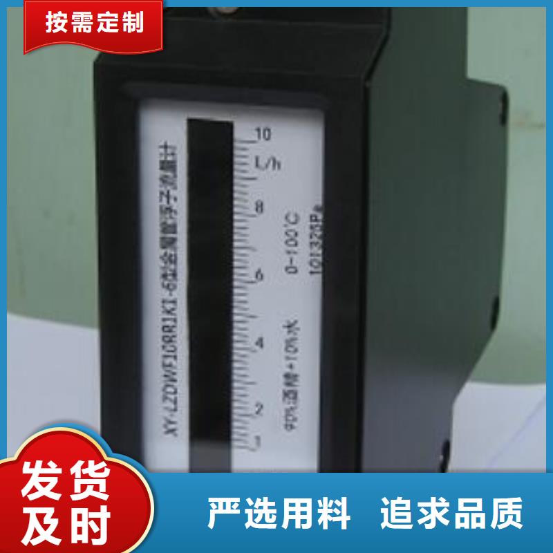 微小流量计-吹扫装置厂家技术完善