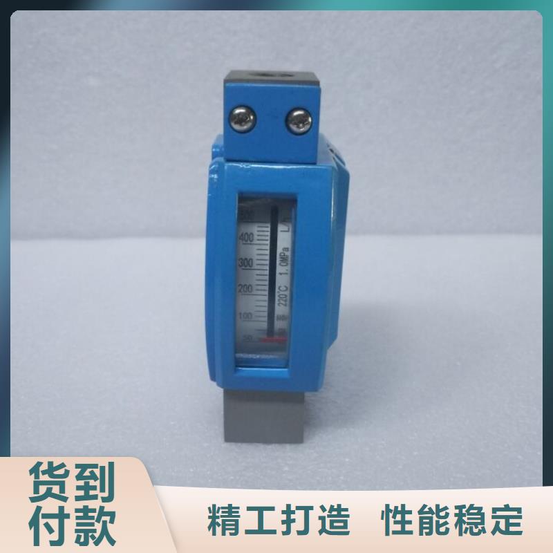 微小流量计_吹扫装置好产品不怕比