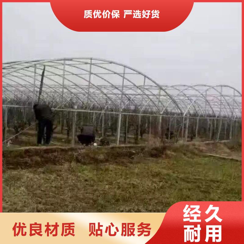 钢管R角紫铜大排用品质说话