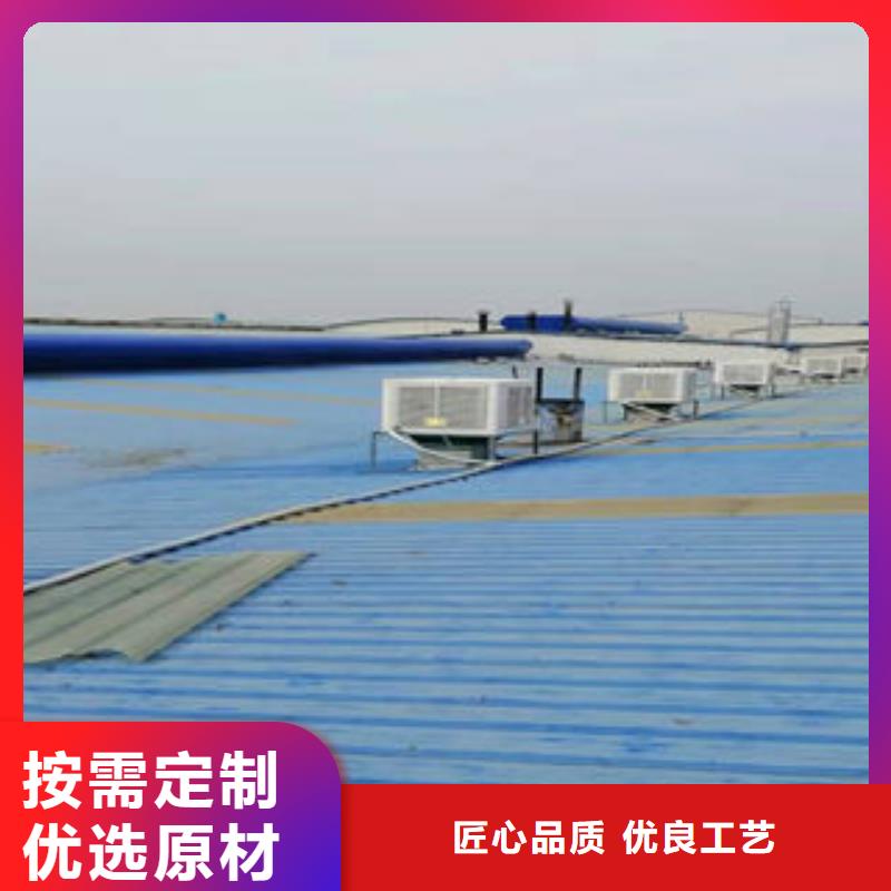 临湘县厂房屋顶通风气楼
