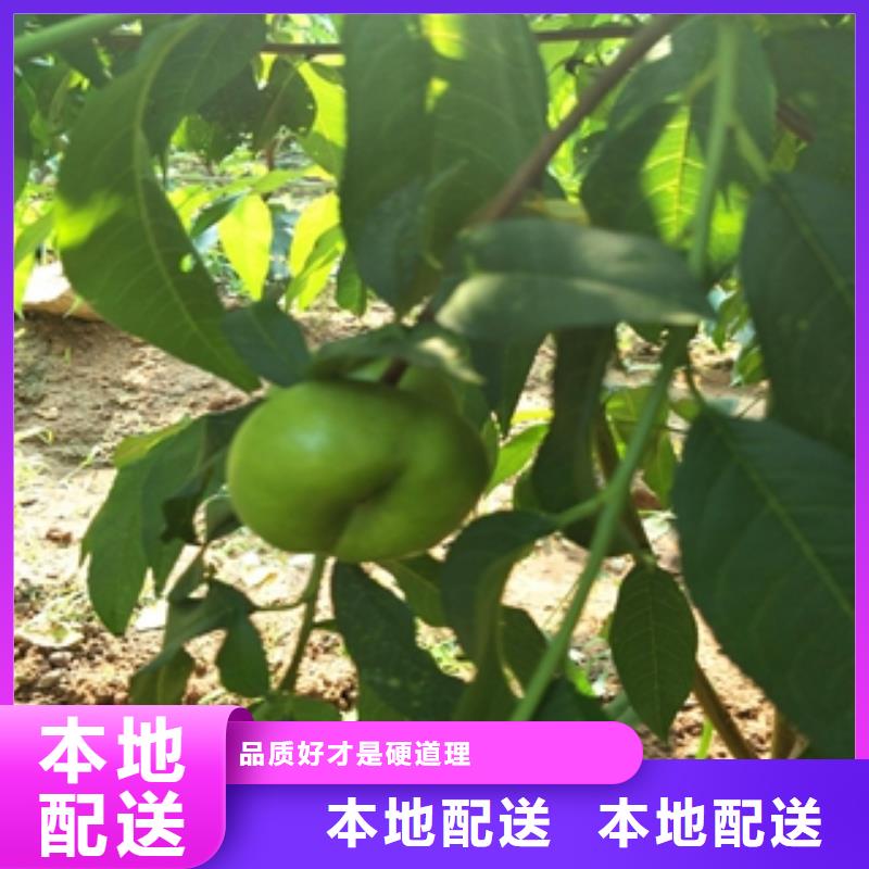 桃树_绿化树绿化工程真材实料诚信经营