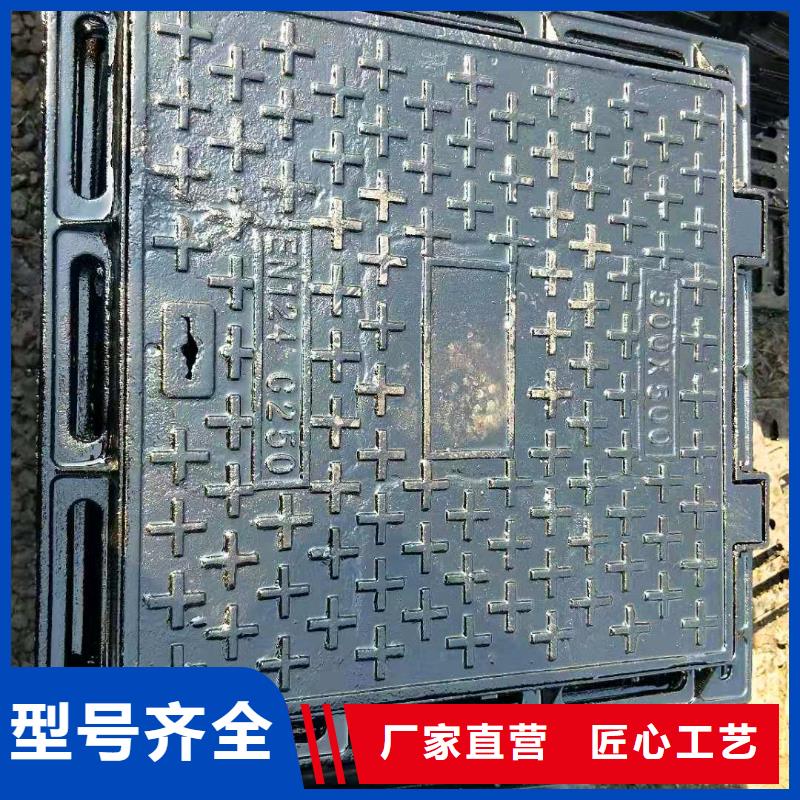 浪卡子县大品牌球墨铸铁井盖篦子