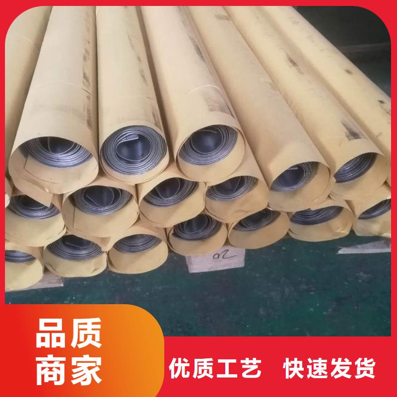 射线防护铅门源头厂家