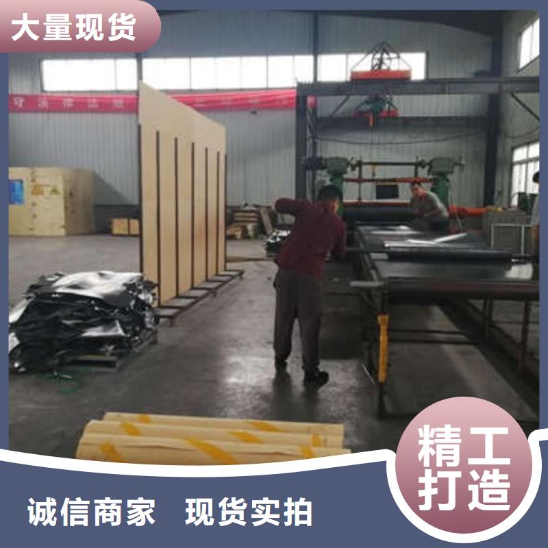 核电站射线屏蔽铅门-屏风定制价格