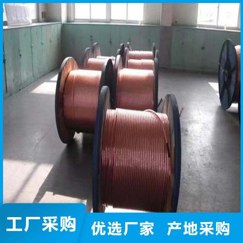 铜绞线品类齐全