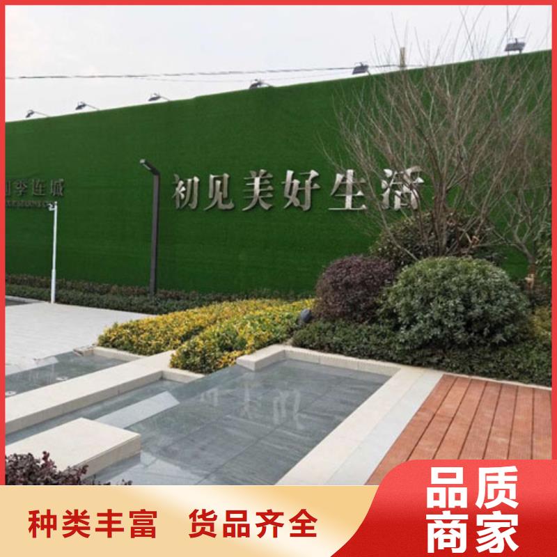 草坪围挡人工草坪围挡同行低价