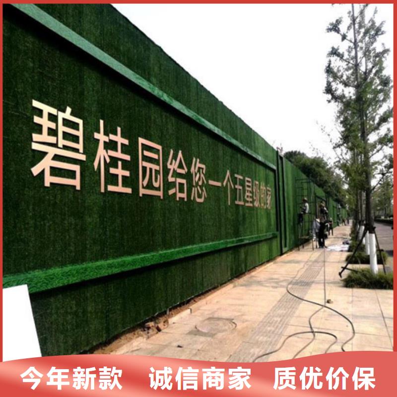 草坪围挡人造草坪围挡精工制作