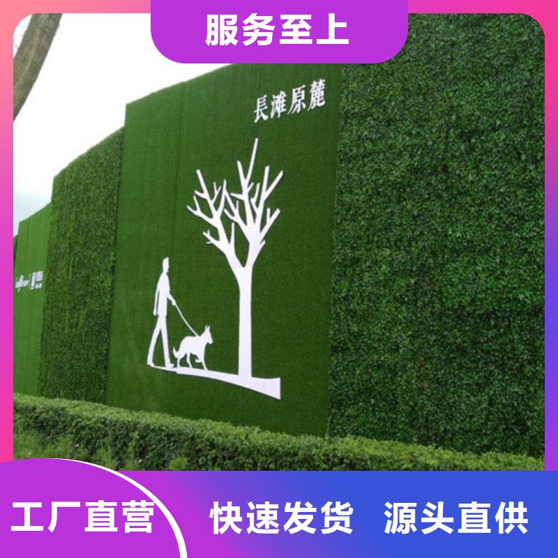 草坪围挡【围挡草坪】品质服务