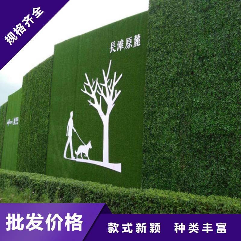 草坪围挡人工草坪围挡现货快速采购