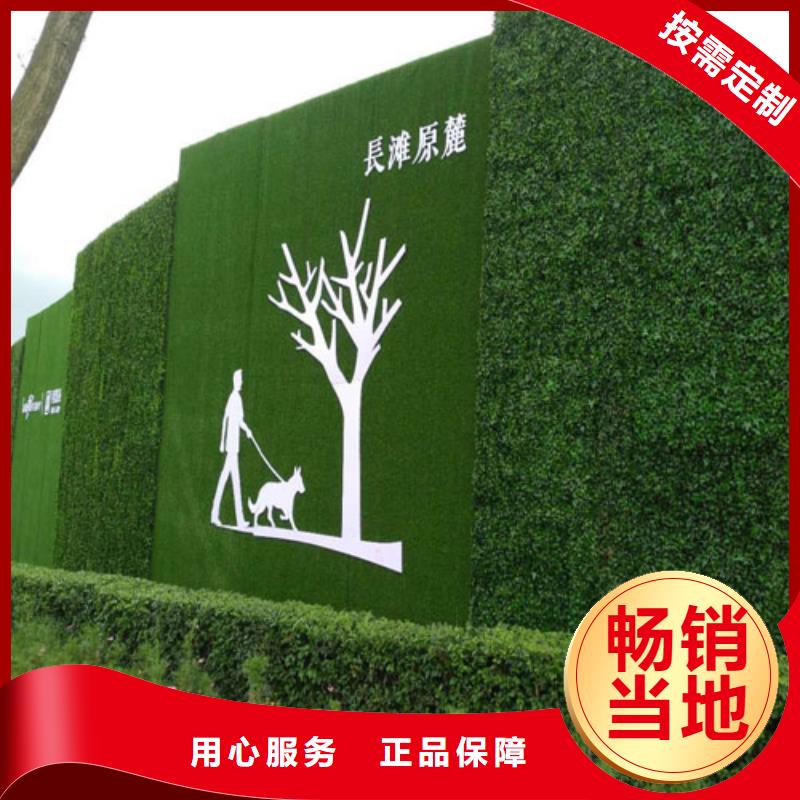 草坪围挡假草皮围挡质量看得见