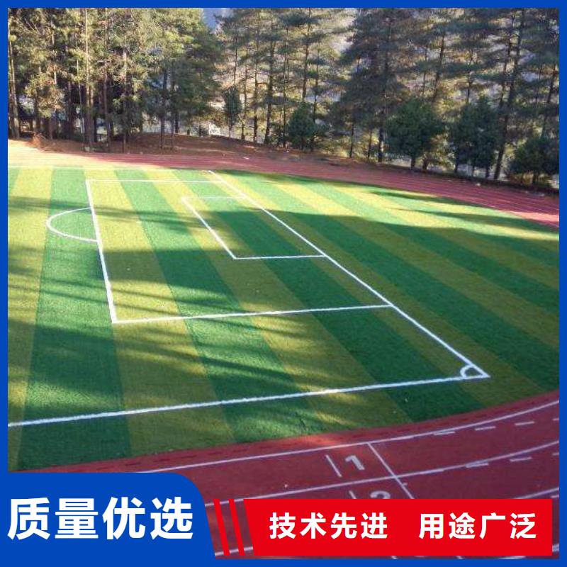 室外硅pu球场塑胶场地品牌厂家种类齐全