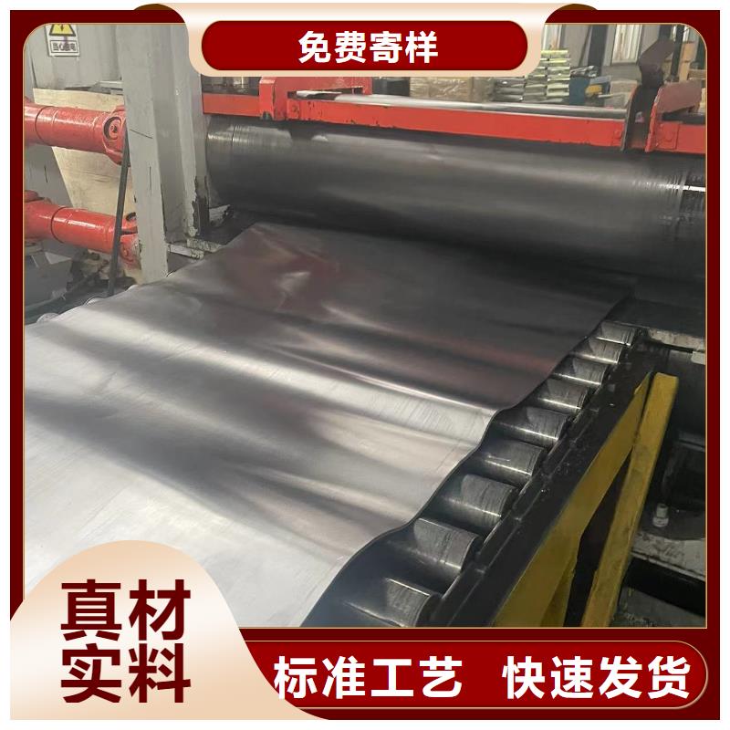 支持定制的牙片铅板生产厂家