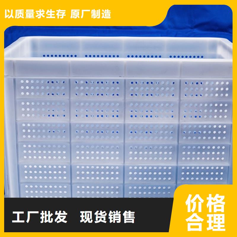 塑料筐厂家现货批发