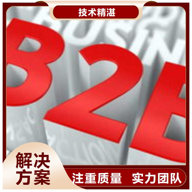 马云网络b2b平台推广从业经验丰富