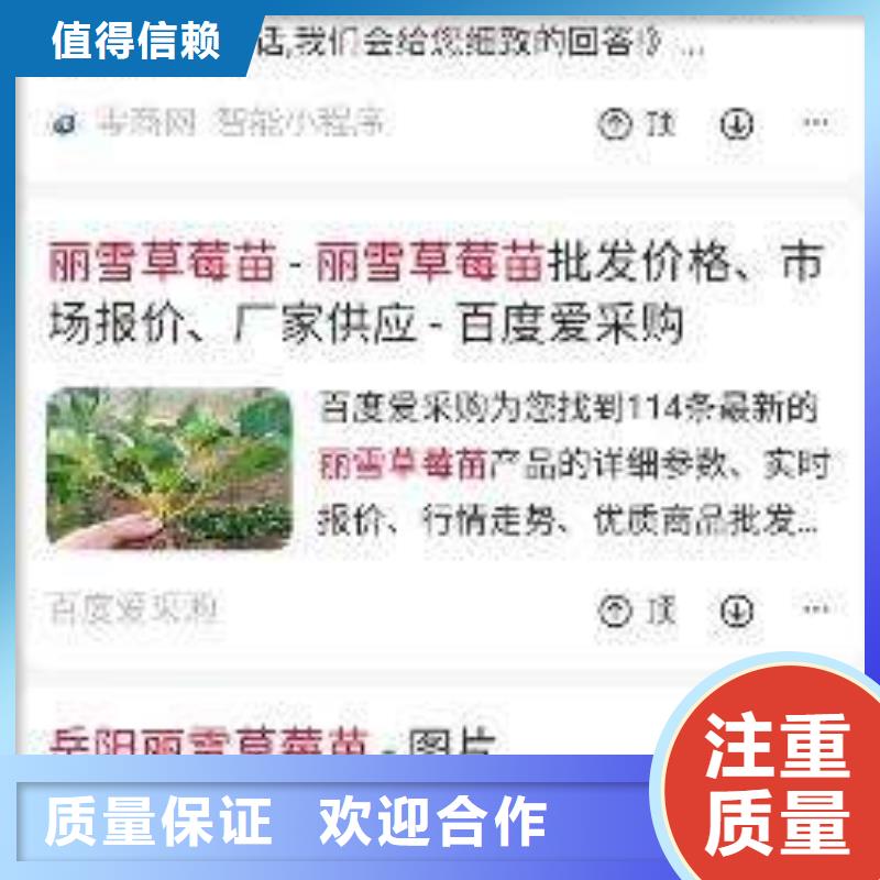 移动端推广营销价格-生产厂家