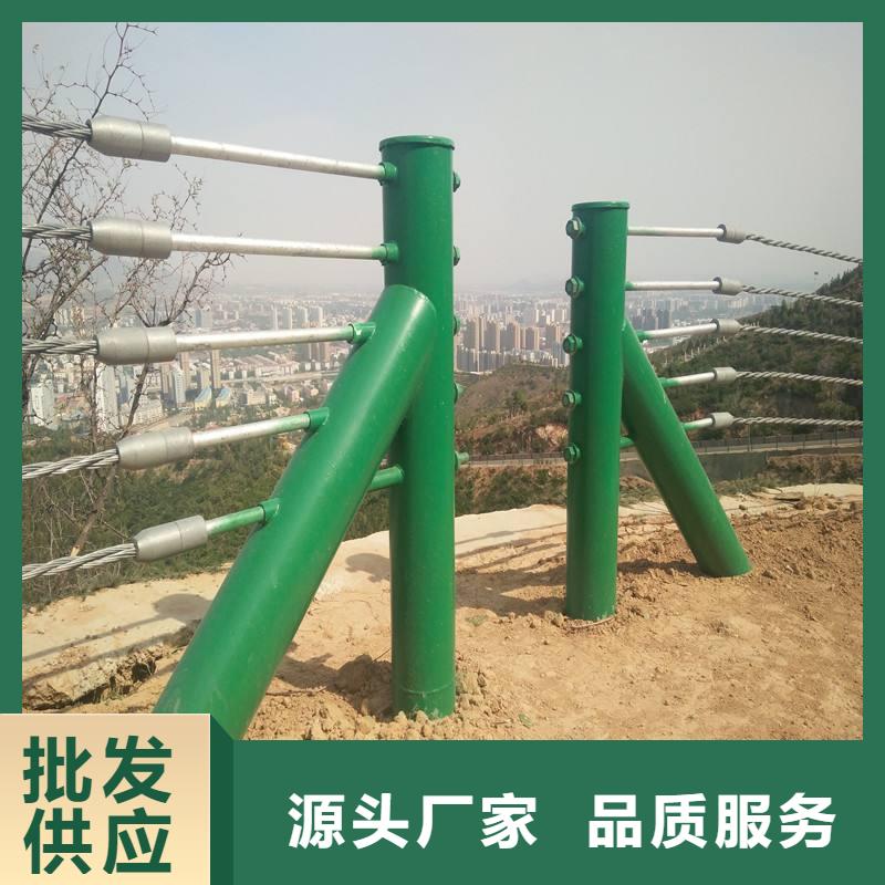 销售辰铭景观护栏的厂家