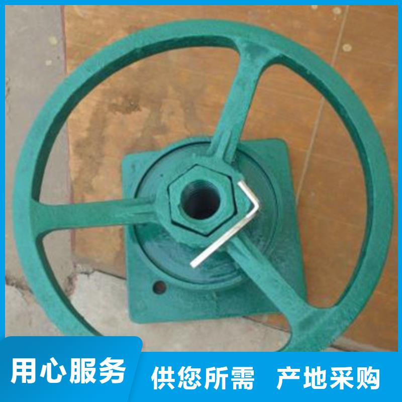 手电两用螺杆启闭机-产地货源