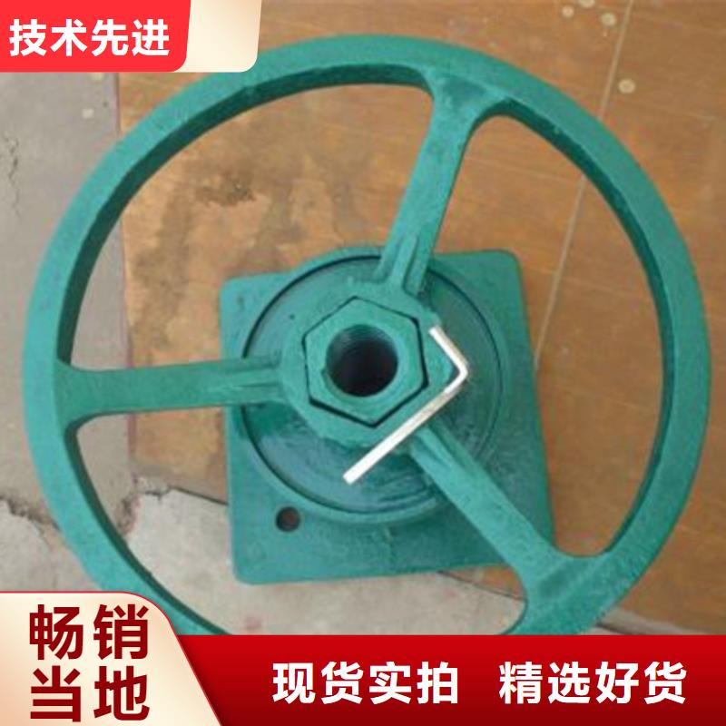 双吊点卷扬启闭机厂家现货直销